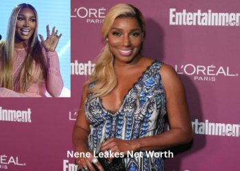 Nene Leakes Net Worth